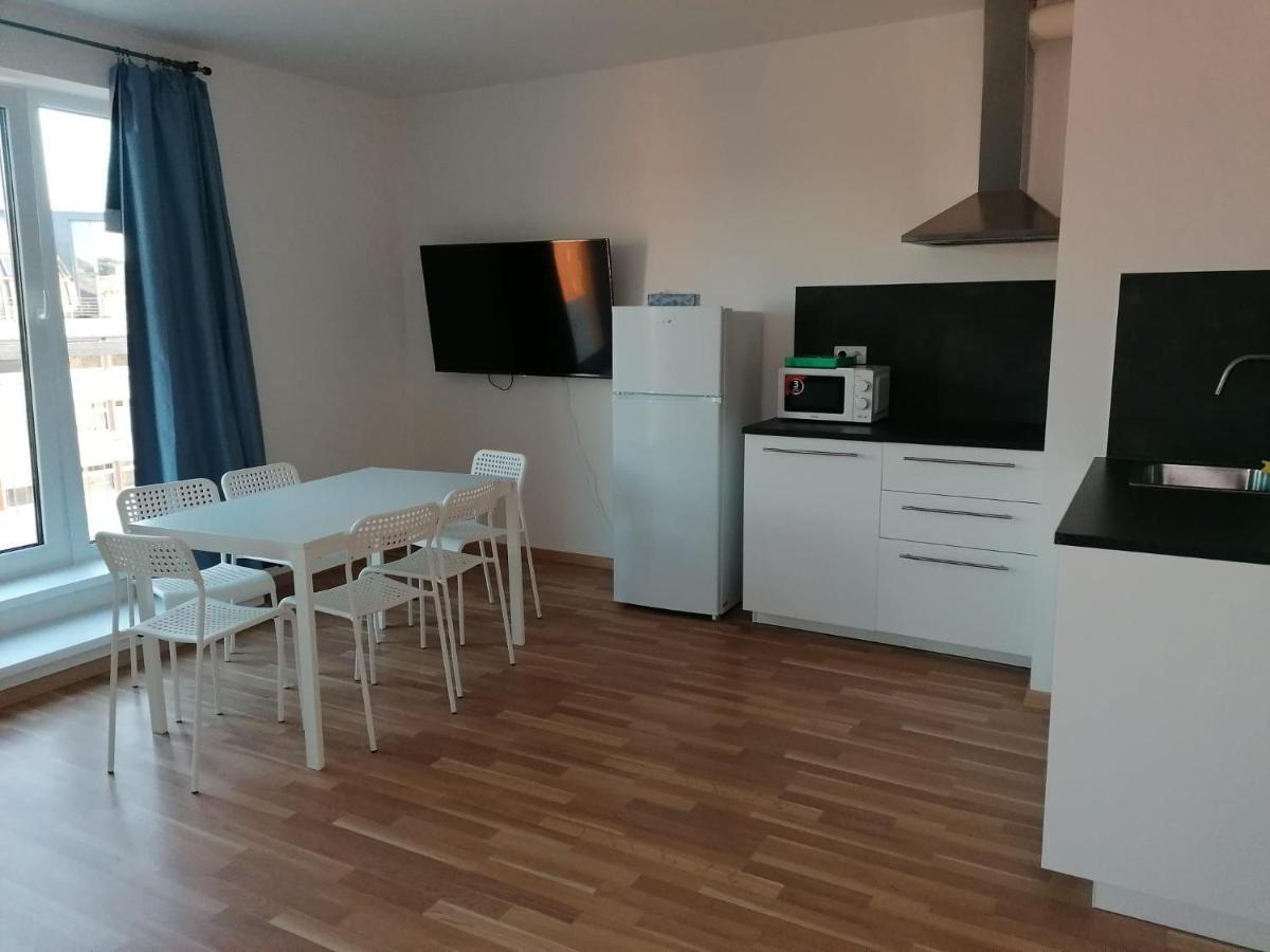 Center Penthouse: Modern One-bedroom With Free Parking Apartment